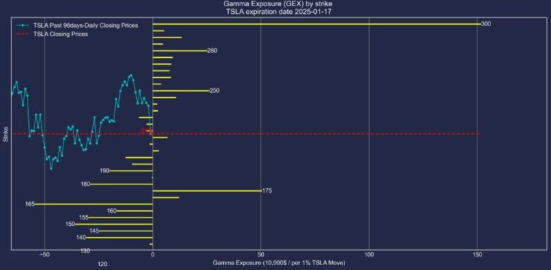 テスラ株2025年01月17日満期オプションガンマエクスポージャー2024年10月11日現在